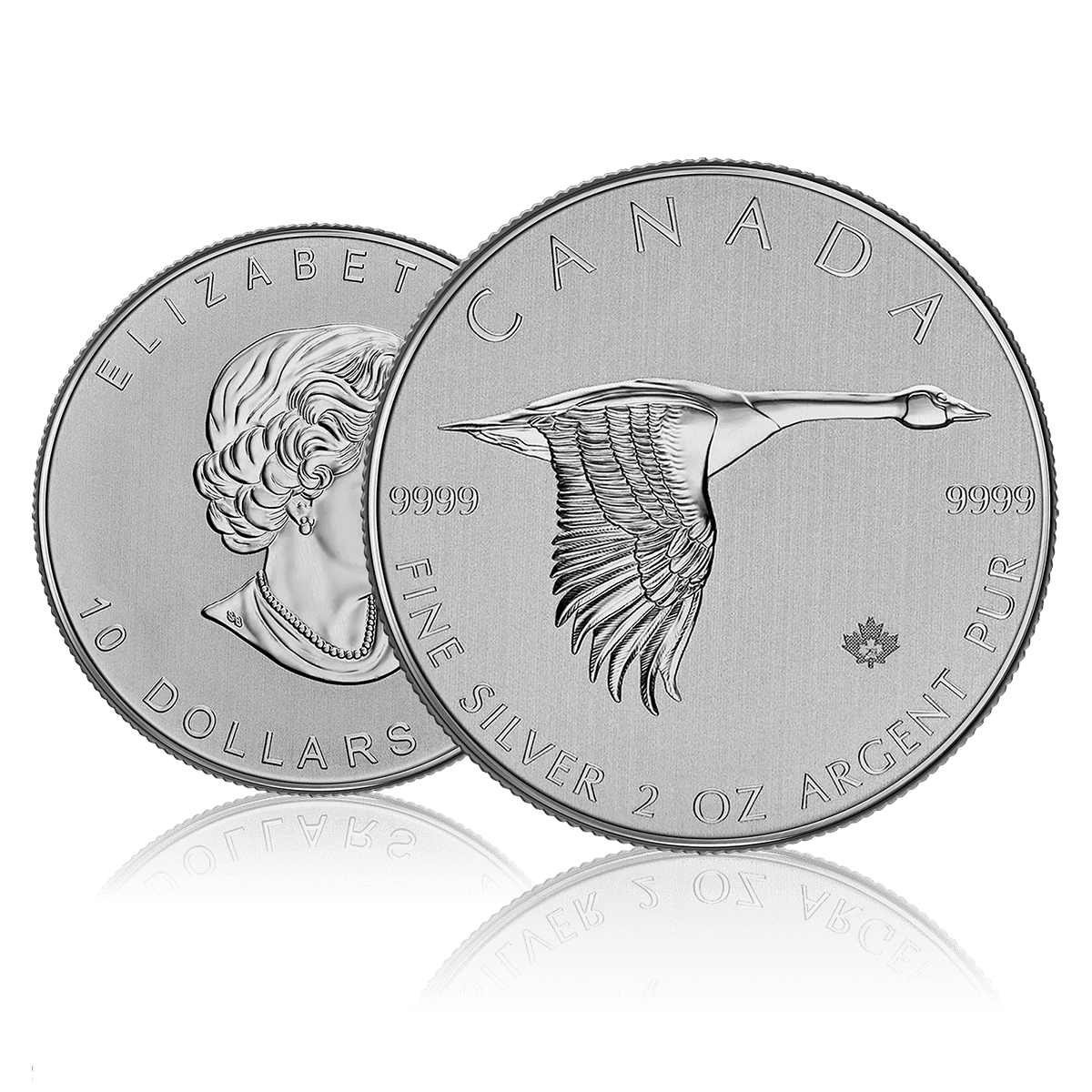 2oz Silver Canada Goose (2020) 4
